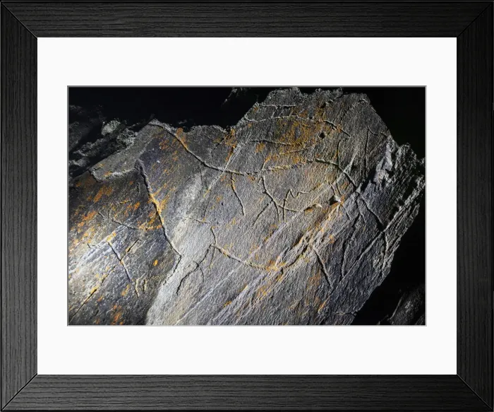 Framed Print : Two horses and two male ibex (Upper Paleolithic) Framed Print : Two horses and two male ibex (Upper Paleolithic)
