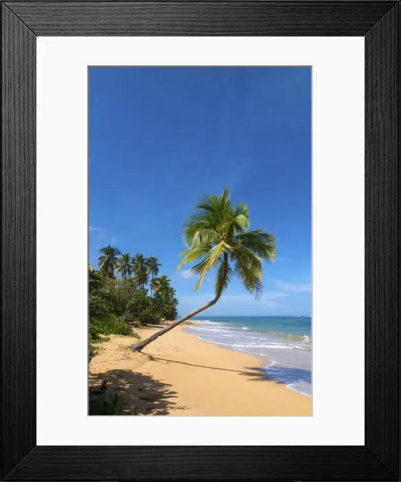 Framed Print : Tres Palmitas Beach, Loiza, Puerto Rico Framed Print : Tres Palmitas Beach, Loiza, Puerto Rico