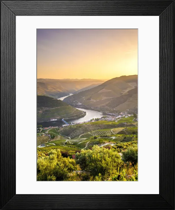 Framed Print : Portugal, Douro river at sunset, Terraced vineyards