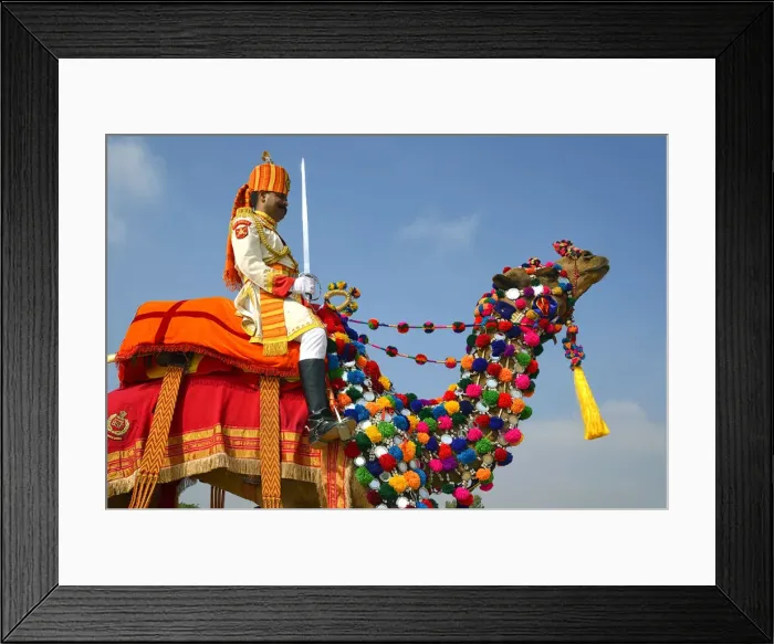 Framed Print : Asia, India, Rajasthan, Jaisalmer, desert festival Framed Print : Asia, India, Rajasthan, Jaisalmer, desert festival