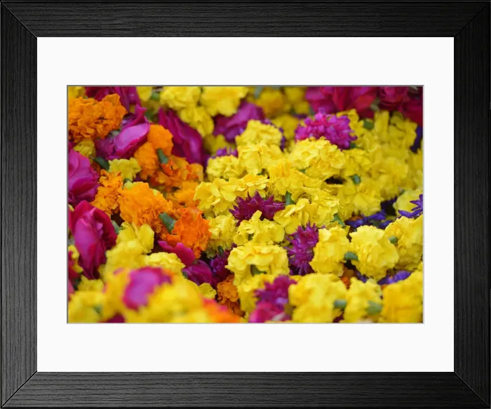 Framed Print : flowers in a market in Pushkar, India, Asia Framed Print : flowers in a market in Pushkar, India, Asia