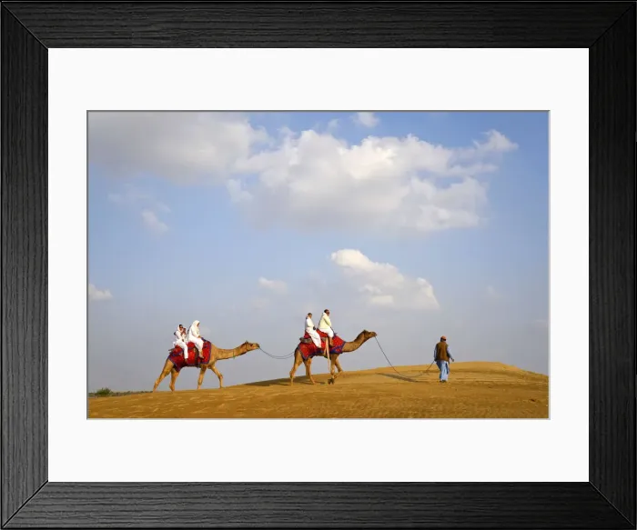 Framed Print : Asia, India, Rajasthan, Jaisalmer, people riding camels Framed Print : Asia, India, Rajasthan, Jaisalmer, people riding camels