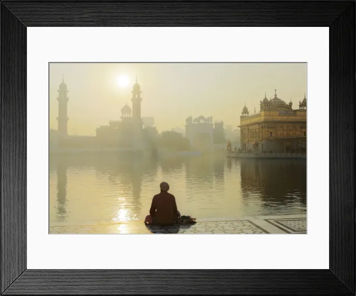 Framed Print : India, Punjab, Amritsar, a sikh pilgrim praying at the Golden Temple - the holiest