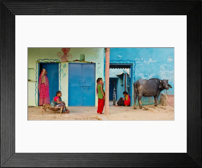 Framed Print : Indian Family & Sacred Cow, near Agra, India Framed Print : Indian Family & Sacred Cow, near Agra, India