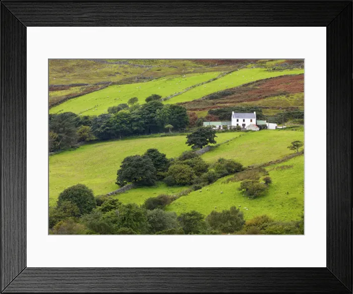 Framed Print : Ireland, Co. Donegal, Inishowen, Dunree, house in rural setting Framed Print : Ireland, Co. Donegal, Inishowen, Dunree, house in rural setting