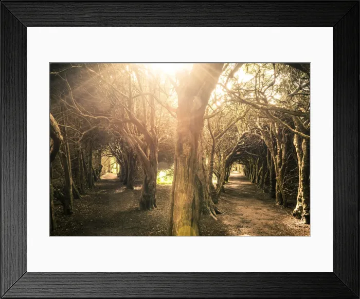 Framed Print : Gormanston college, County Meath, Ireland, Europe Framed Print : Gormanston college, County Meath, Ireland, Europe