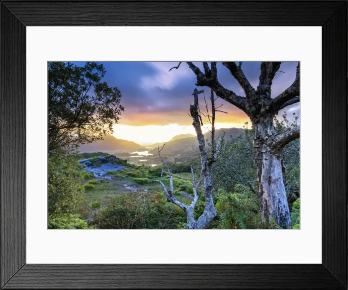 Framed Print : Europe, Ireland, Wild Atlantic Way, Ring of Kerry, sunrise at Ladys view viewpoint Framed Print : Europe, Ireland, Wild Atlantic Way, Ring of Kerry, sunrise at Ladys view viewpoint