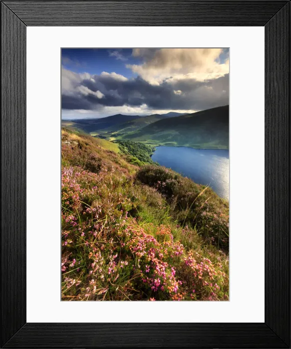 Framed Print : Europe, Ireland, blue lake at Sallys Gap in Wicklow mountains national park Framed Print : Europe, Ireland, blue lake at Sallys Gap in Wicklow mountains national park