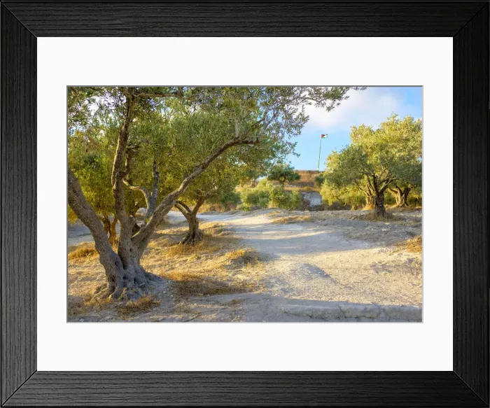 Framed Print : Palestine, West Bank, Nablus District, Sebastia Village Framed Print : Palestine, West Bank, Nablus District, Sebastia Village