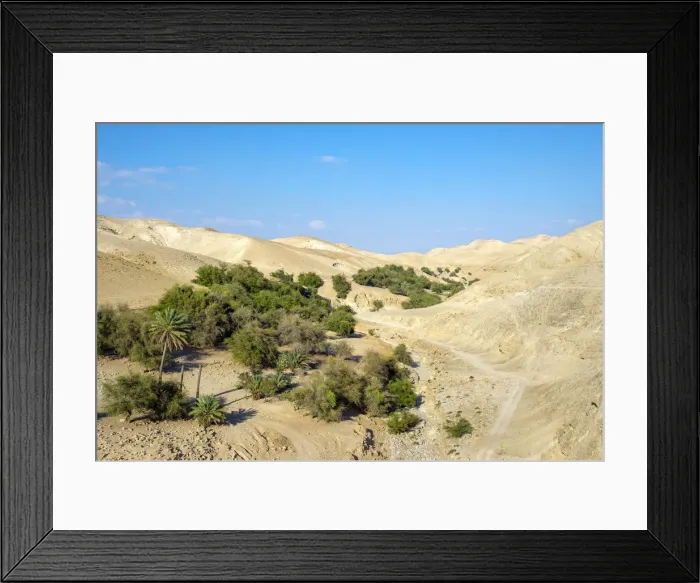 Framed Print : Palestine, West Bank, Jericho. Wadi Quelt, Prat River gorge Framed Print : Palestine, West Bank, Jericho. Wadi Quelt, Prat River gorge