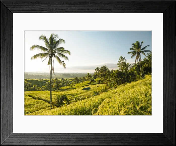 Framed Print : Jatiluwih Rice Terraces, Tabanan, Bali, Indonesia Framed Print : Jatiluwih Rice Terraces, Tabanan, Bali, Indonesia
