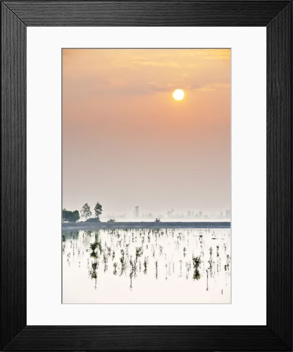 Framed Print : Sundarbans National Park, Tiger Reserve at dawn. West Bengal, India Framed Print : Sundarbans National Park, Tiger Reserve at dawn. West Bengal, India