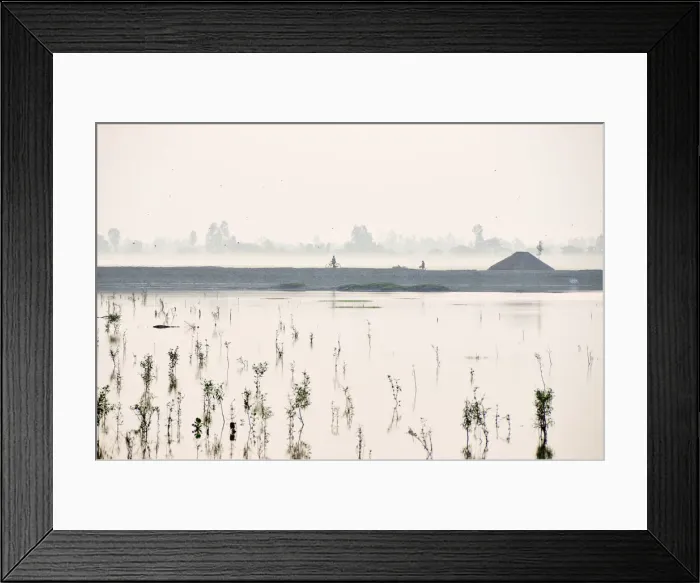 Framed Print : Sundarbans National Park, Tiger Reserve at dawn. West Bengal, India Framed Print : Sundarbans National Park, Tiger Reserve at dawn. West Bengal, India