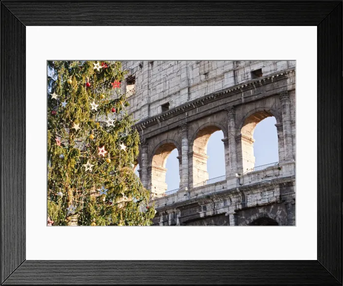 Framed Print : Christmas Tree by the Colosseum, Rome, Lazio, Italy, Europe Framed Print : Christmas Tree by the Colosseum, Rome, Lazio, Italy, Europe