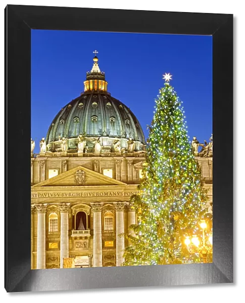 St Peters Basilica, Basilica di San Pietro, Christmas tree and crib. Rome, Lazio