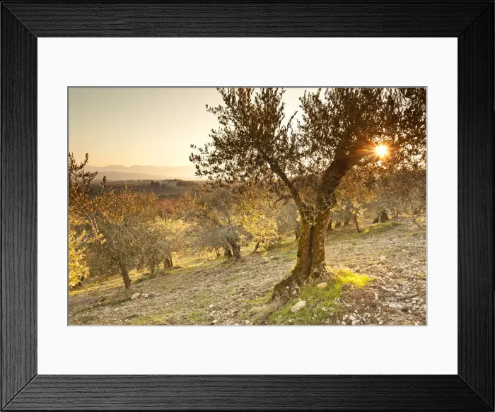 Framed Print : Italy, Umbria, Perugia district, Giano dell Umbria, Abbey of San Felice Framed Print : Italy, Umbria, Perugia district, Giano dell Umbria, Abbey of San Felice