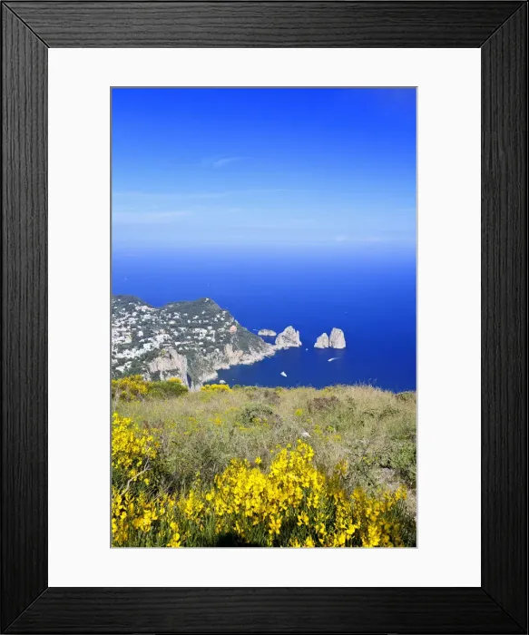 Framed Print : Italy, Campania, Napoli district, Capri. Faraglioni