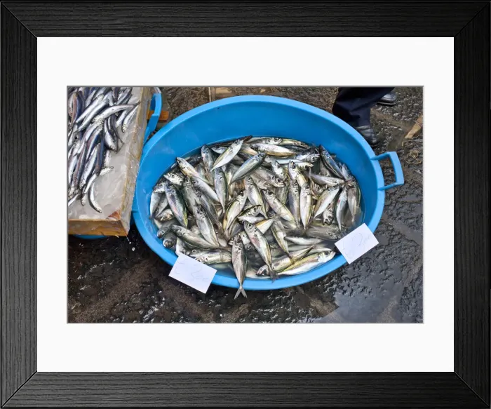 Framed Print : Fish market, La Pescheria, Catania, Sicily, Italy Framed Print : Fish market, La Pescheria, Catania, Sicily, Italy