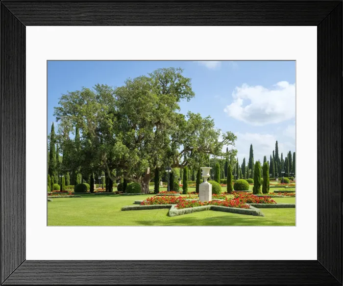 Framed Print : Israel, North District, Upper Galilee, Acre (Akko) Framed Print : Israel, North District, Upper Galilee, Acre (Akko)