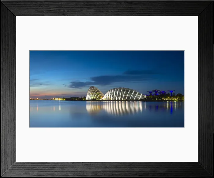 Framed Print : Gardens by the Bay at dawn, Singapore