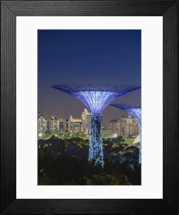 Framed Print : Singapore, Republic of Singapore, Southeast Asia Framed Print : Singapore, Republic of Singapore, Southeast Asia