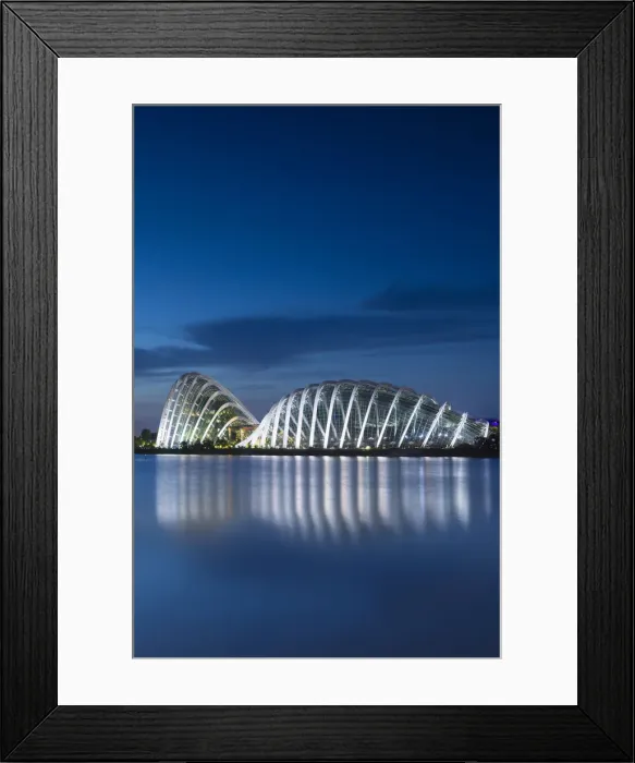 Framed Print : Gardens by the Bay at dawn, Singapore