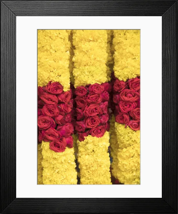 Framed Print : Flower garland, Little India, Singapore Framed Print : Flower garland, Little India, Singapore