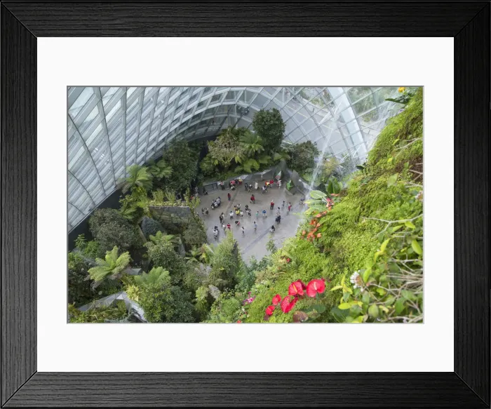 Framed Print : Cloud Forest greenhouse in Gardens by the Bay, Singapore