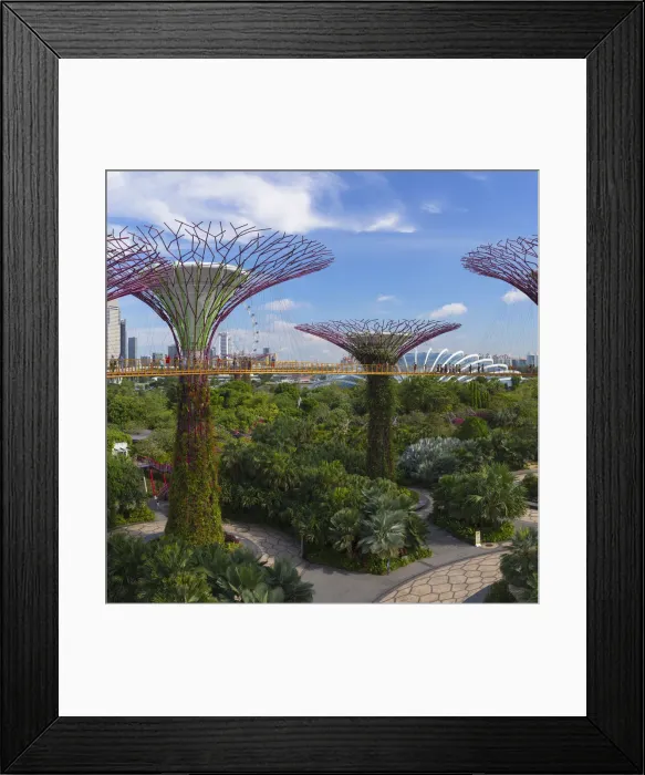 Framed Print : Gardens by the Bay, Singapore Framed Print : Gardens by the Bay, Singapore