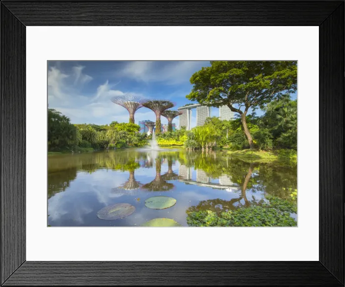 Framed Print : Gardens by the Bay and Marina Bay Sands Hotel, Singapore Framed Print : Gardens by the Bay and Marina Bay Sands Hotel, Singapore
