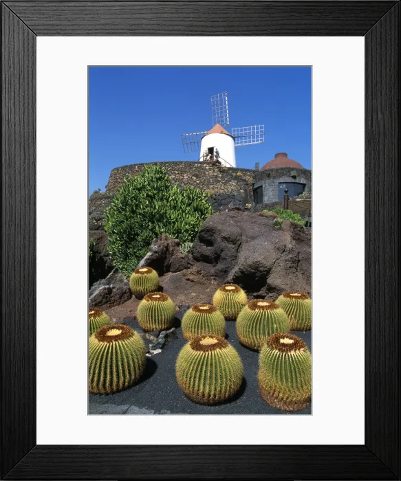 Framed Print : Jardin de Cactus, Lanzarote, Canary Islands, Spain