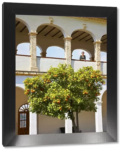 Spain, Andalucia, Granada, Alhambra. Woman looking out over orange tree (MR)