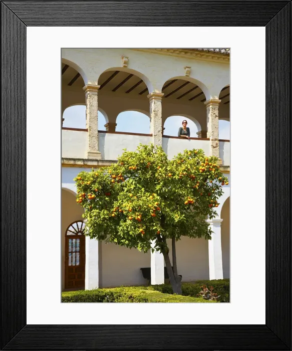 Framed Print : Spain, Andalucia, Granada, Alhambra. Woman looking out over orange tree (MR) Framed Print : Spain, Andalucia, Granada, Alhambra. Woman looking out over orange tree (MR)