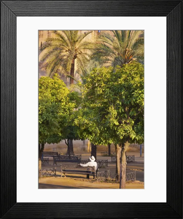Framed Print : Spain, Andalucia, Cordoba, man sitting on bench under palmtrees (MR) Framed Print : Spain, Andalucia, Cordoba, man sitting on bench under palmtrees (MR)