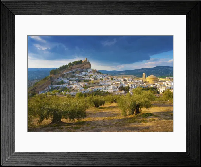 Framed Print : Spain, Andalucia, Granada province, Montefrio, Olive grove in foreground