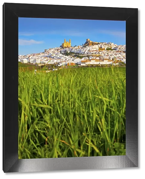 Spain, Andalucia, Cadiz province, Olvera, View over field towards Olvera town
