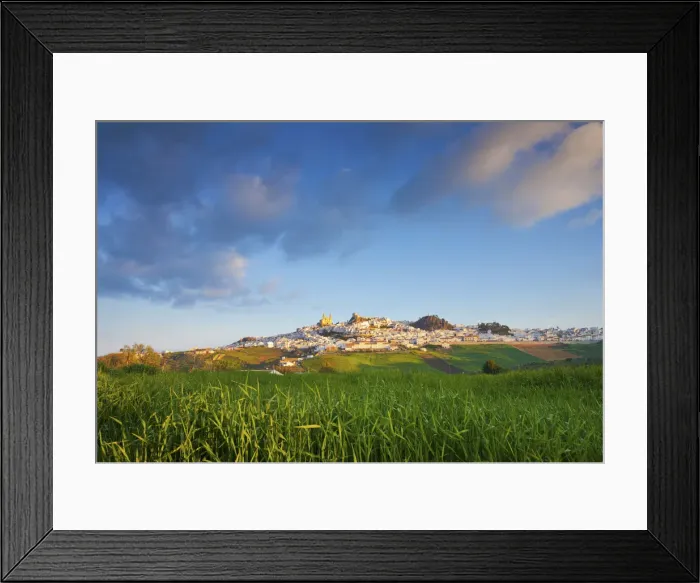 Framed Print : Spain, Andalucia, Cadiz province, Olvera, View over field towards Olvera town Framed Print : Spain, Andalucia, Cadiz province, Olvera, View over field towards Olvera town