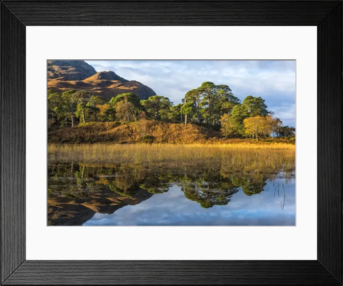 Framed Print : Caledonian pines reflected in Loch Clair, Wester Ross, Highlands, Scotland Framed Print : Caledonian pines reflected in Loch Clair, Wester Ross, Highlands, Scotland