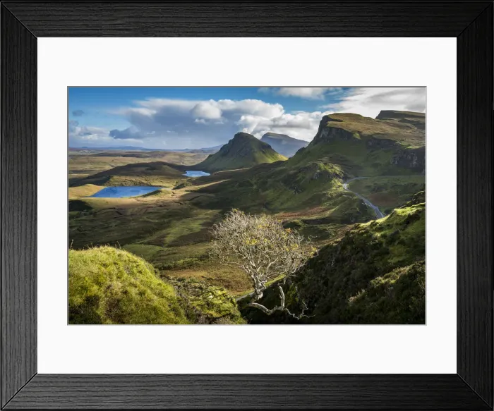 Framed Print : Lone bare tree at Quiraing with views of Loch Leum nu Luirginn and Loch Cleat, Isle Framed Print : Lone bare tree at Quiraing with views of Loch Leum nu Luirginn and Loch Cleat, Isle