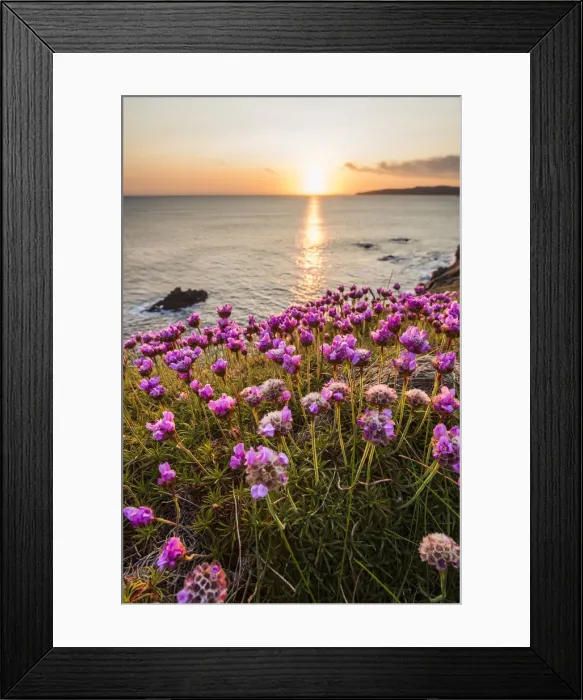 Framed Print : Crohy Head, County Donegal, Ulster region, Ireland, Europe