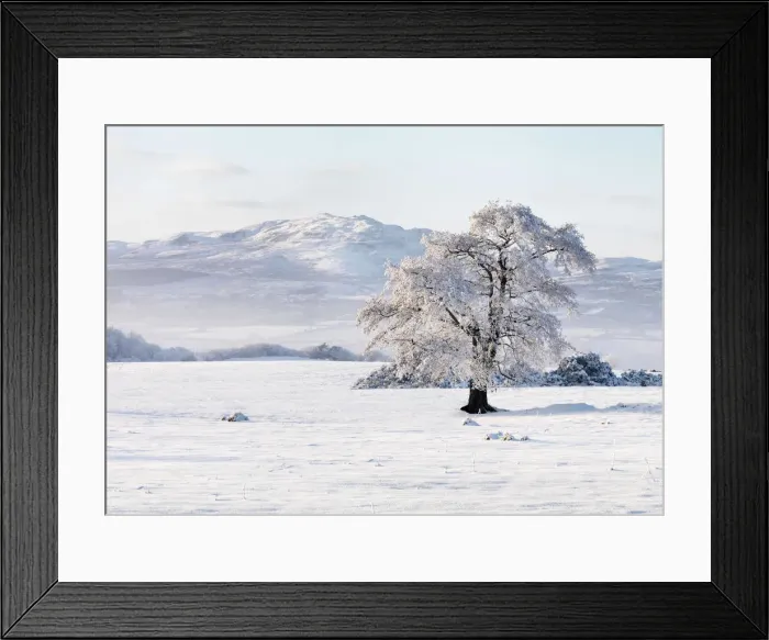 Framed Print : Ireland, Co. Donegal, Milford, snow covered landscape Framed Print : Ireland, Co. Donegal, Milford, snow covered landscape