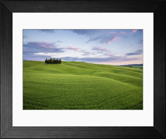 Framed Print : Tuscany, Val d Orcia, Italy. Cypress trees in green meadow field with clouds gathering Framed Print : Tuscany, Val d Orcia, Italy. Cypress trees in green meadow field with clouds gathering
