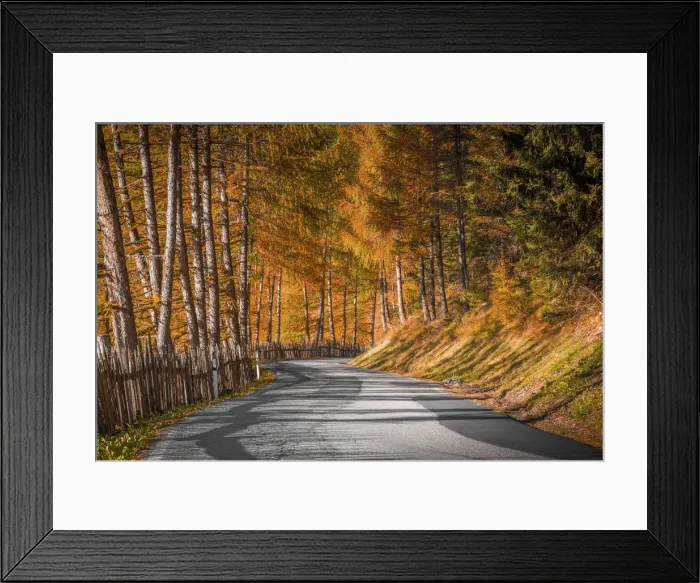 Framed Print : Trentino Alto Adige, autumn colors in a mountain street road Framed Print : Trentino Alto Adige, autumn colors in a mountain street road