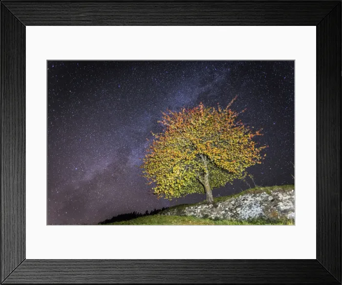 Framed Print : Trentino Alto Adige, Cherry Tree in autumn at night, under the milky way and a sky