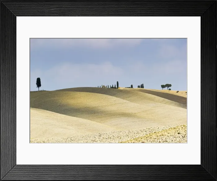 Framed Print : Tuscany, Val d Orcia, arid landscape with cypress trees Framed Print : Tuscany, Val d Orcia, arid landscape with cypress trees