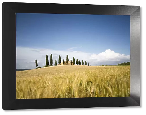 Val d Orcia, Tuscany, Italy. A lonely farmhouse with cypress trees standing in