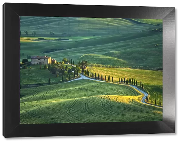 Europe, Italy, Tuscany, Toscana, Pienza, farmhouse in green landscape near Pienza