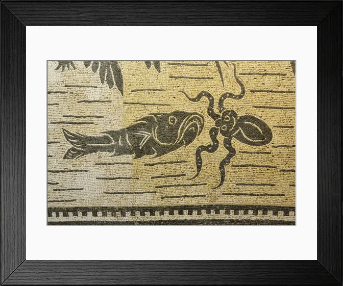 Framed Print : Roman mosaics, 2sd century AD. Collection of the Palazzo Massimo / Museo Nazionale Romano Framed Print : Roman mosaics, 2sd century AD. Collection of the Palazzo Massimo / Museo Nazionale Romano