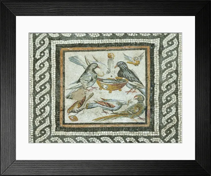 Framed Print : Doves from the Domus under the Caseggiato of the Taberne Finestrate, 1st century B Framed Print : Doves from the Domus under the Caseggiato of the Taberne Finestrate, 1st century B