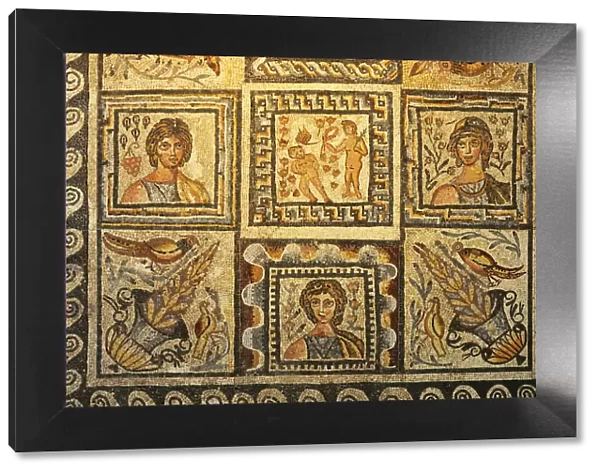 Roman mosaics, 4th-5th century AD. Collection of the Palazzo Massimo  /  Museo Nazionale